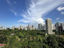 Three Balmoral (D10), Apartment #475793921